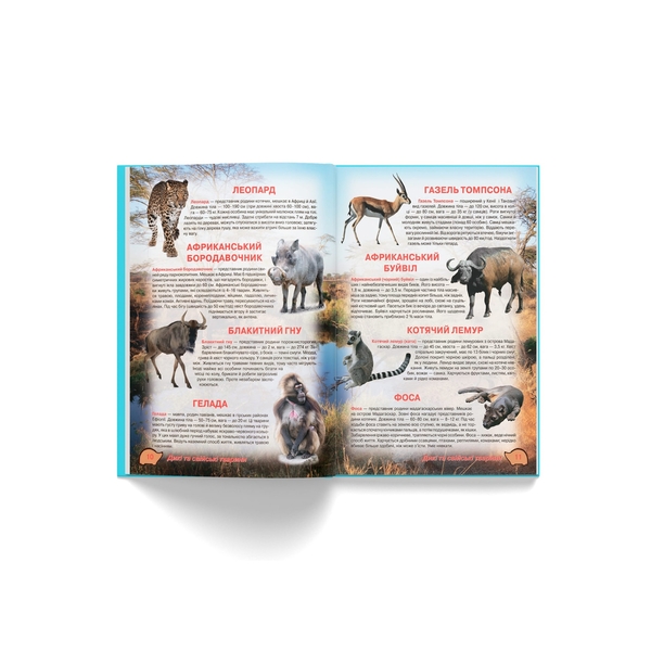 Ілюстрований атлас живої природи (F00014008) - Pampik - 6