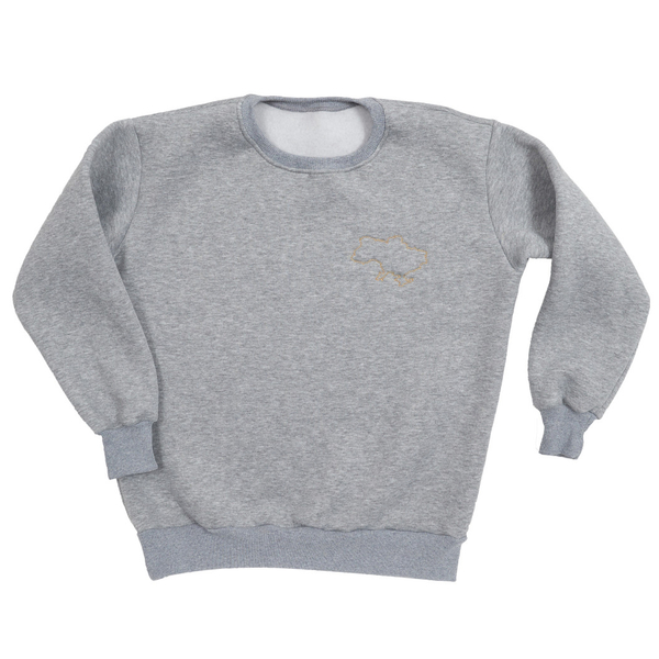 Свитшот Twins утепленный с вышивкой, р.S, grey, серый (W-202-ST-S-10) - Pampik