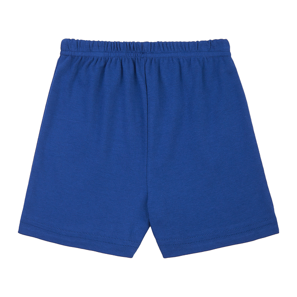 Шорти Garnamama Neon shorts 104 Синий (1063120.13334722) - Pampik - 2