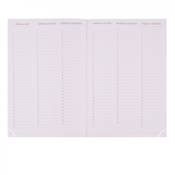 Ежедневник Yes Iridium А5, недатированный, 320 страниц, фіолетовий (252621) - Pampik - 9