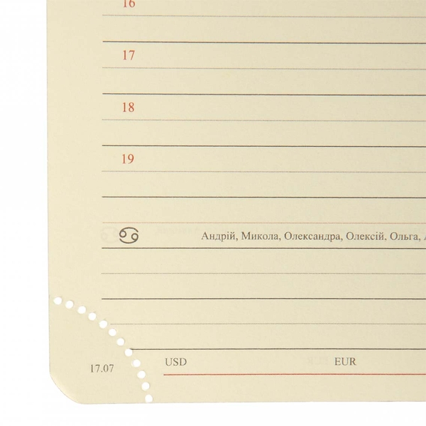 Щоденник Leo Planner Whisky А5, датований 2026, 368 сторінок, зелений (252669) - Pampik - 13