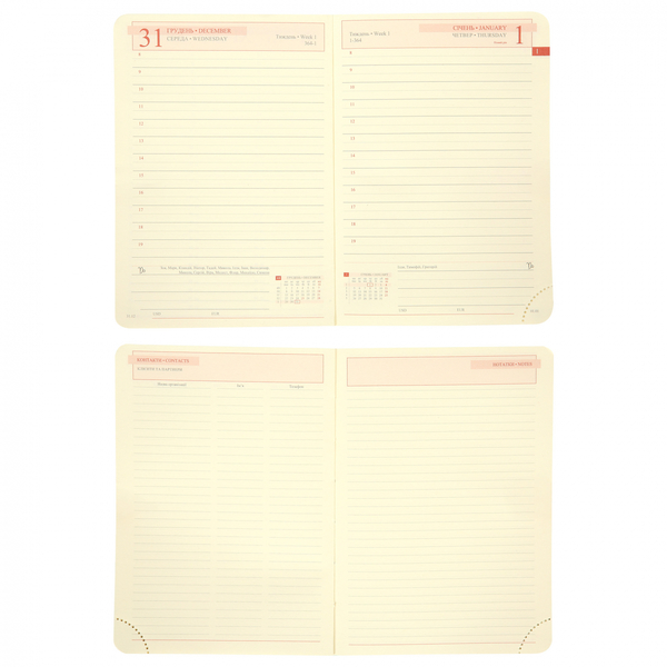 Щоденник Leo Planner Aldento А6, датований 2026, 352 сторінки, коричневий (252674) - Pampik - 11