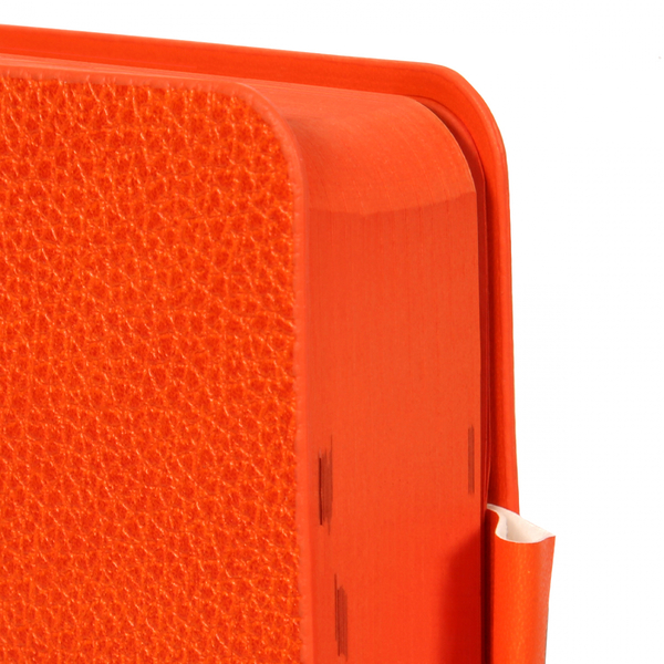 Щоденник Leo Planner Binario А5, датований 2026, 368 сторінок, помаранчевий (252641) - Pampik - 3