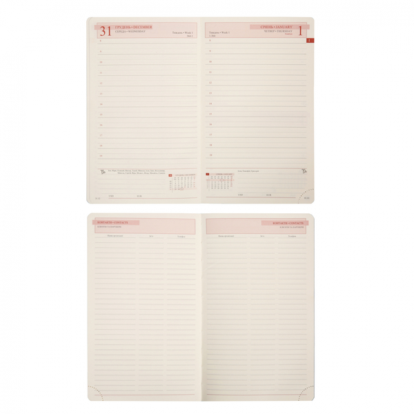 Ежедневник Leo Planner Dream А6, датированный 2026, 352 страницы, темно-синий (252708) - Pampik - 12