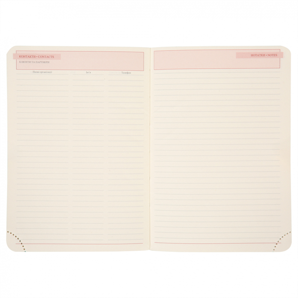 Щоденник Leo Planner Bruno, А6, датований 2026, 352 сторінки, сірий (252704) - Pampik - 12