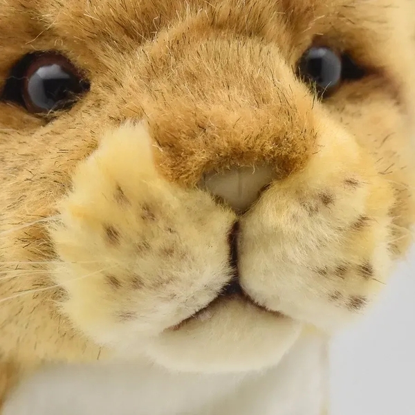 М'яка іграшка-чохол Hansa Левеня, 23 см (8176) - Pampik - 2