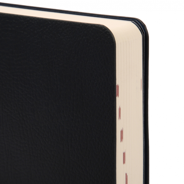 Щоденник Leo Planner Alpha, датований 2026, 12х20 см, 352 сторінки, темно-синій (252629) - Pampik - 4