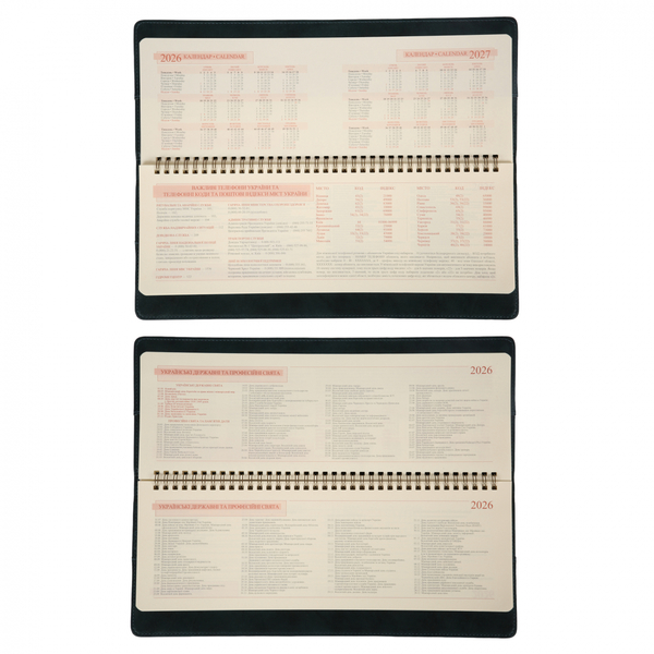 Планінг-щотижневик настільний Leo Planner Case, датований 2026, 34х13 см, 128 сторінок, темний смарагд (252678) - Pampik - 4