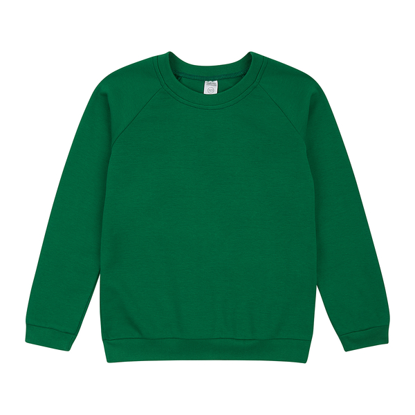 Реглан Garnamama Basic Sweatshirt інтерлок 128 Зелений (1075160.1327826) - Pampik