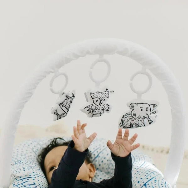 Набір для матраца-кокона DockATot Deluxe+: дуга з іграшками Сheeky Chams (50150) - Pampik - 5