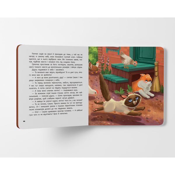 Хвостаті пригоди. Пончик та Грінка. Канікули за містом - Юлія Риженко (F00031969) - Pampik - 10