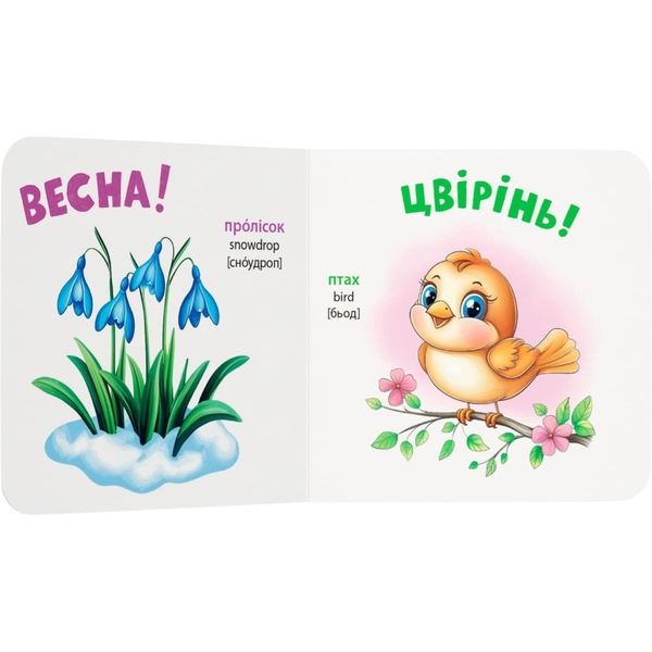 Розглядайка-розвивайка. Пори року - Катерина Столяренко (F00032536) - Pampik - 4