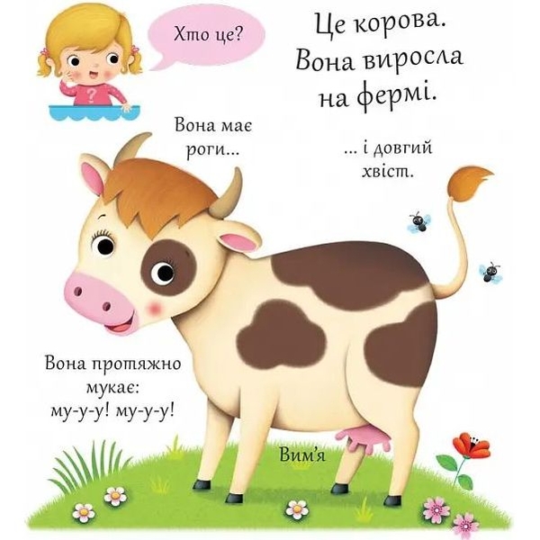 Книжка-картонка Хто це? Корови - Бомон Емілія, Беліно Наталя - Pampik - 2