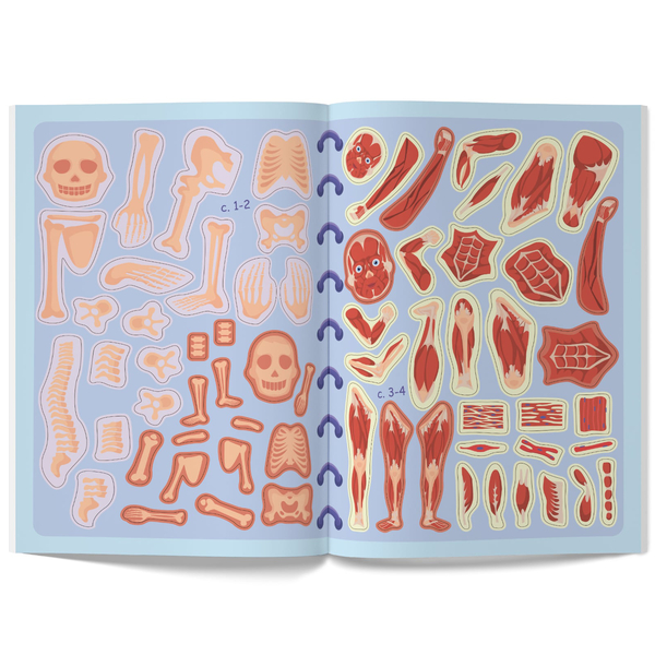 Меганаліпки. Тіло людини (F00023548) - Pampik - 7