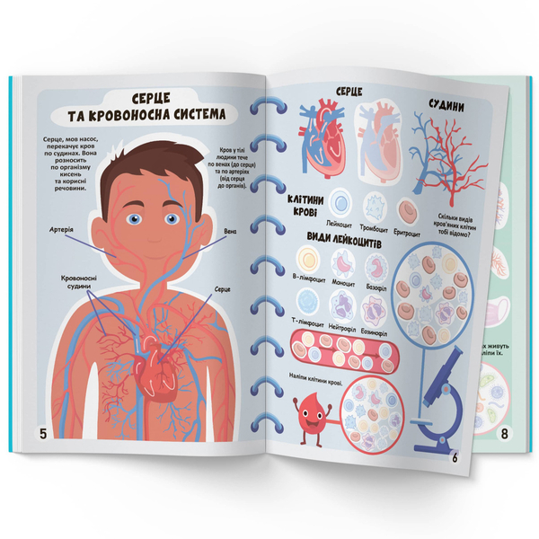 Меганаліпки. Тіло людини (F00023548) - Pampik - 5