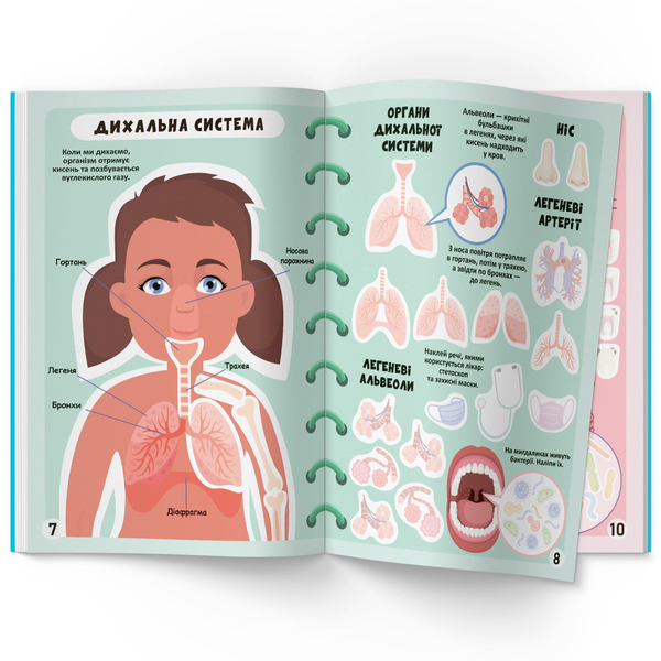 Меганаліпки. Тіло людини (F00023548) - Pampik - 4