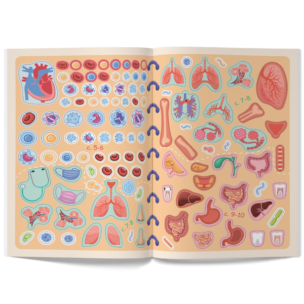 Меганаліпки. Тіло людини (F00023548) - Pampik - 9