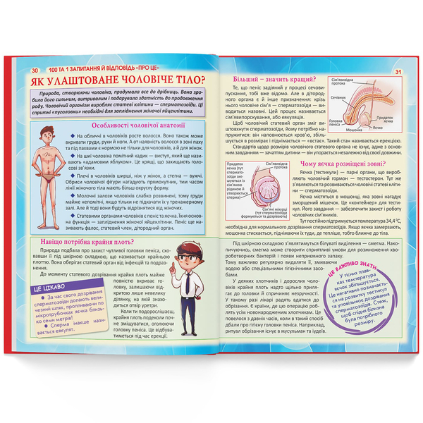 100 та 1 запитання й відповідь "про це". Усе, про що підлітки соромляться говорити з дорослими (F00020616) - Pampik - 7