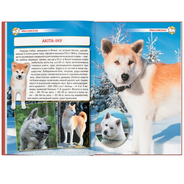 Енциклопедія. Собаки (F00028100) - Pampik - 9