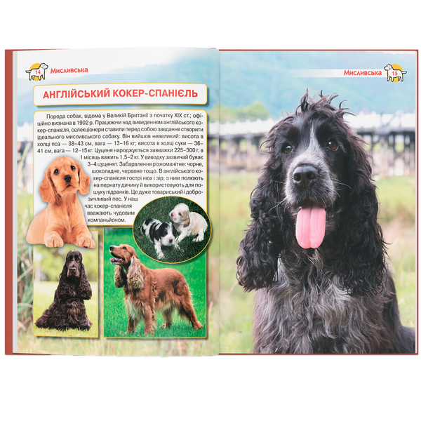 Енциклопедія. Собаки (F00028100) - Pampik - 11