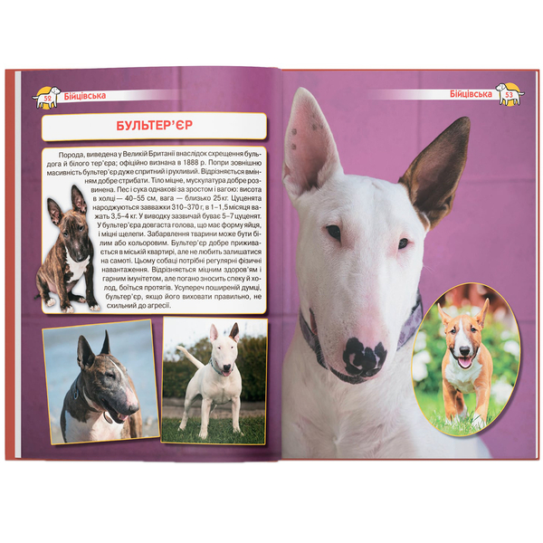 Енциклопедія. Собаки (F00028100) - Pampik - 5