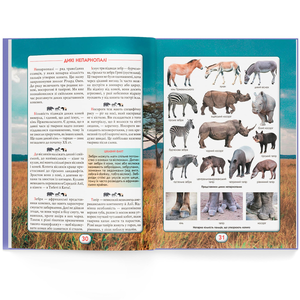 Ви маєте це знати. Світ звірів (F00031321) - Pampik - 8