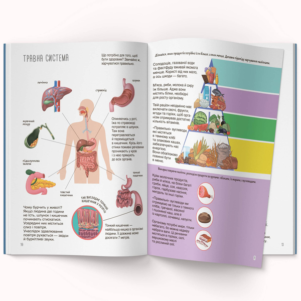 Книжка з наліпками. Тіло людини (F00027785) - Pampik - 3