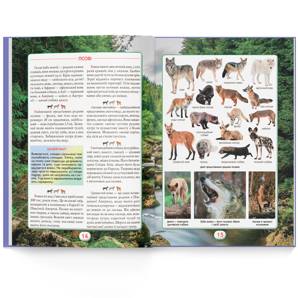 Ви маєте це знати. Світ звірів (F00031321) - Pampik - 6