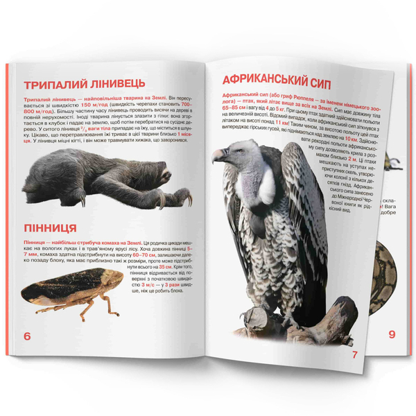 Світ навколо нас. Велика книжка. Рекорди тваринного світу (F00017392) - Pampik - 4