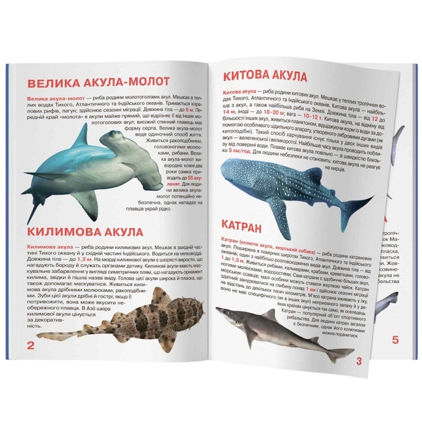 Світ навколо нас. Велика книжка. Акули (F00018784) - Pampik - 3
