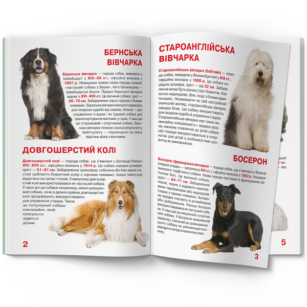 Світ навколо нас. Велика книжка. Службові собаки (F00014405) - Pampik - 3