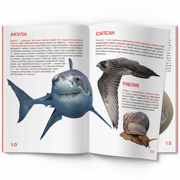 Світ навколо нас. Велика книжка. Рекорди тваринного світу (F00017392) - Pampik - 3