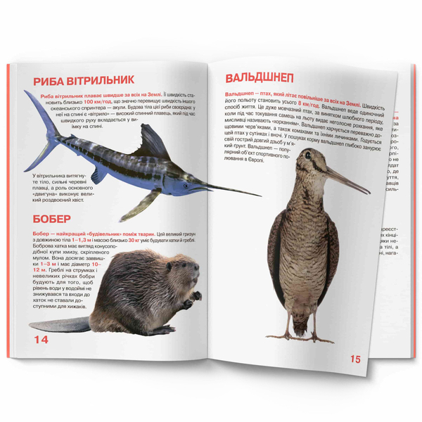 Світ навколо нас. Велика книжка. Рекорди тваринного світу (F00017392) - Pampik - 5