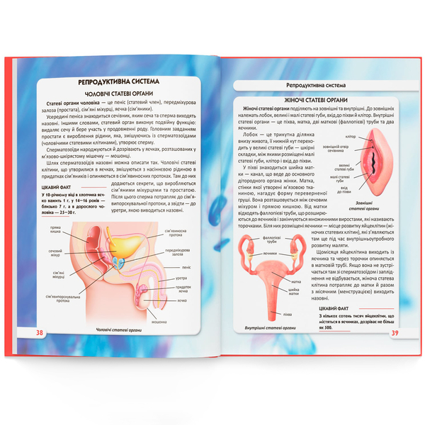 Фотоенциклопедія. Світ навколо нас. Тіло людини (F00022588) - Pampik - 8