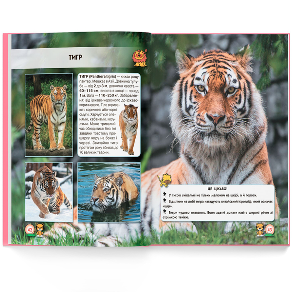 Фотоенциклопедія. Світ навколо нас. Великі кішки (F00021260) - Pampik - 5