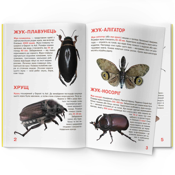Світ навколо нас. Велика книжка. Жуки (F00018115) - Pampik - 5