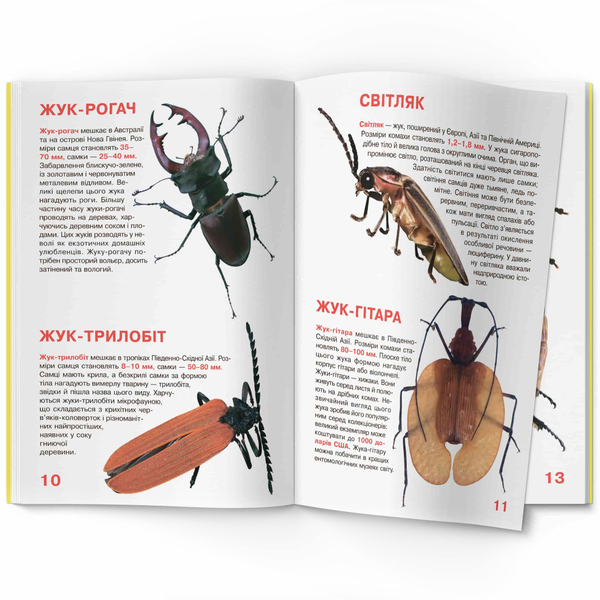 Світ навколо нас. Велика книжка. Жуки (F00018115) - Pampik - 2
