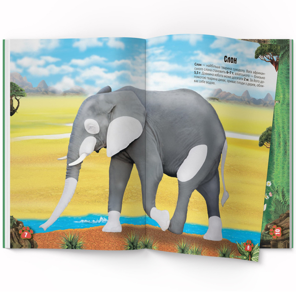 Меганаліпки. Тварини (F00022329) - Pampik - 3