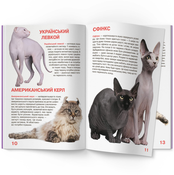 Світ навколо нас. Велика книжка. Кішки (F00013018) - Pampik - 3