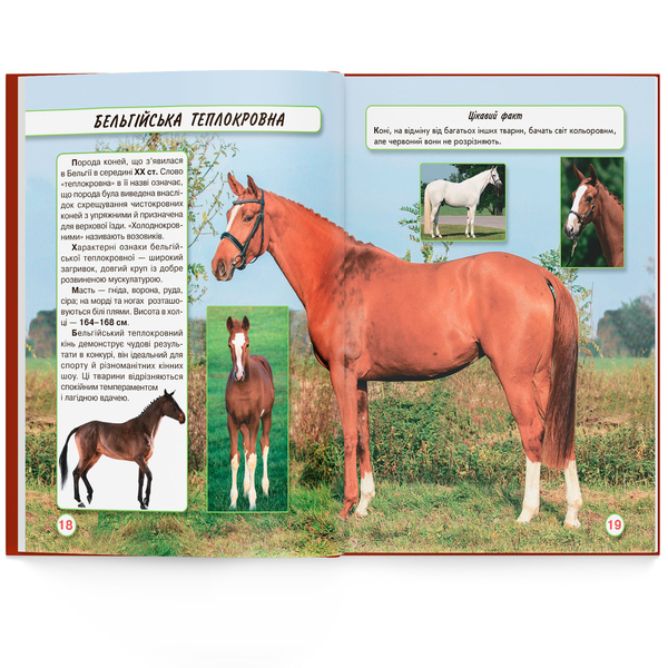 Фотоенциклопедія. Світ навколо нас. Коні (F00021087) - Pampik - 10