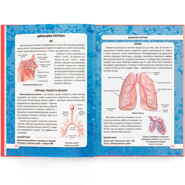 Фотоенциклопедія. Світ навколо нас. Тіло людини (F00022588) - Pampik - 5