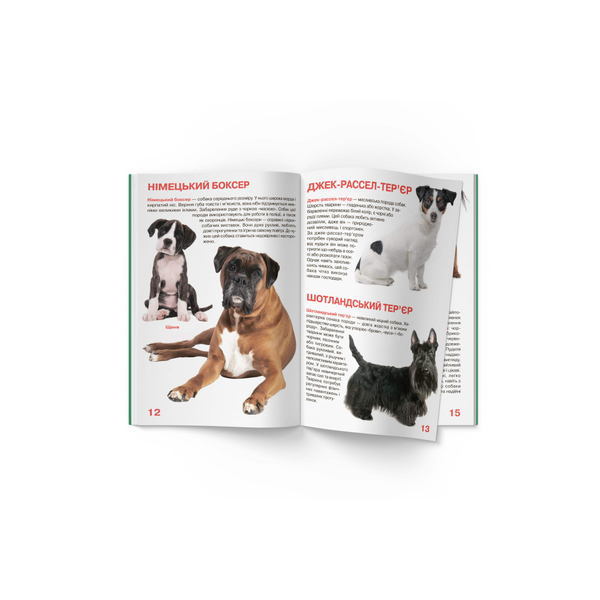 Світ навколо нас. Велика книжка. Собаки (F00020747) - Pampik - 5