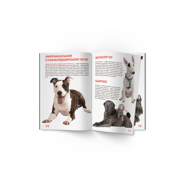 Світ навколо нас. Велика книжка. Собаки (F00020747) - Pampik - 4