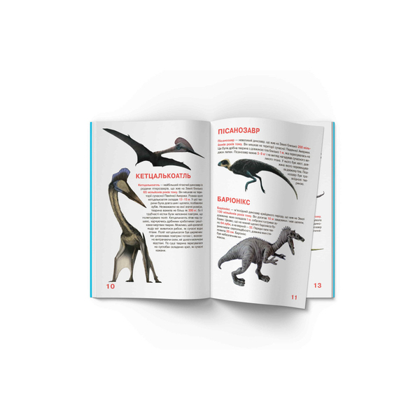 Світ навколо нас. Велика книжка. Динозаври (F00020747) - Pampik - 4