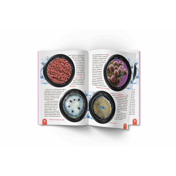 Світ навколо нас. Велика книжка. Мікросвіт (F00018772) - Pampik - 3