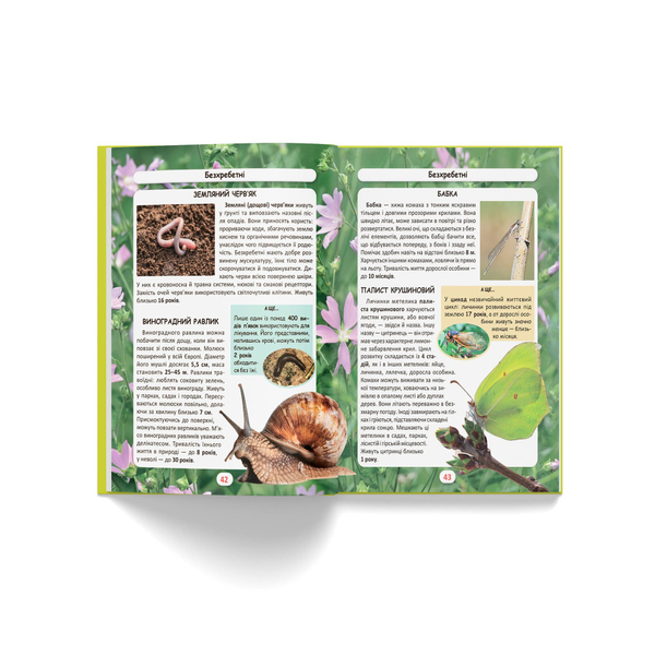 Фотоенциклопедія. Світ навколо нас. Хто скільки живе? (F00027779) - Pampik - 10