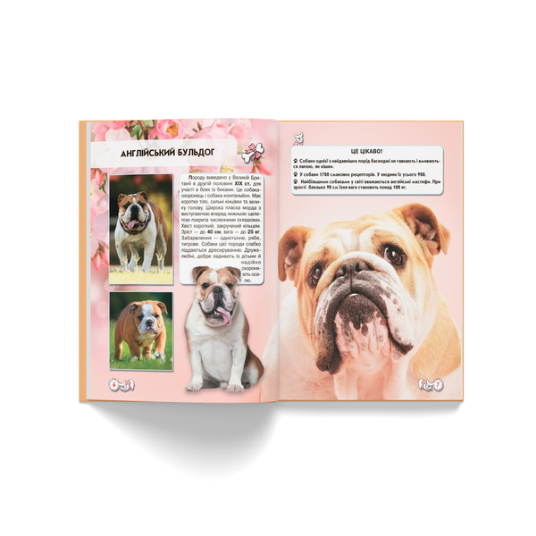 Фотоенциклопедія. Світ навколо нас. Собаки (F00021089) - Pampik - 5