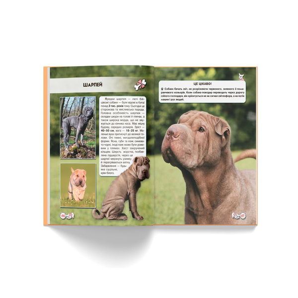 Фотоенциклопедія. Світ навколо нас. Собаки (F00021089) - Pampik - 10