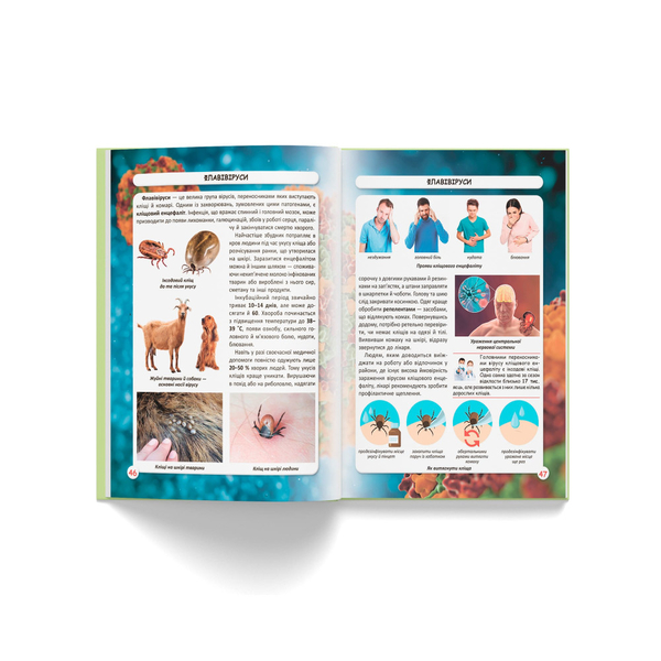 Фотоенциклопедія. Світ навколо нас. Віруси (F00023848) - Pampik - 10