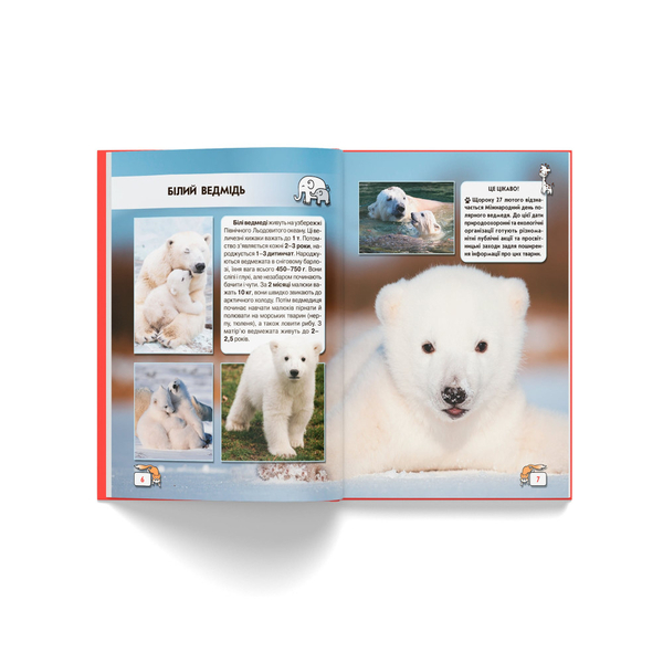 Фотоенциклопедія. Світ навколо нас. Малята тварин (F00020867) - Pampik - 5